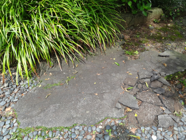 image0015