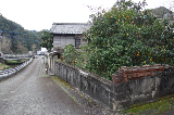 image0046