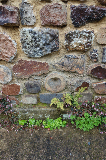 image0132