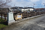 image0005