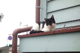 image0091