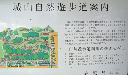 image0035