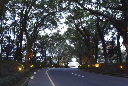 image0036