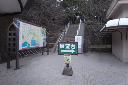image0037