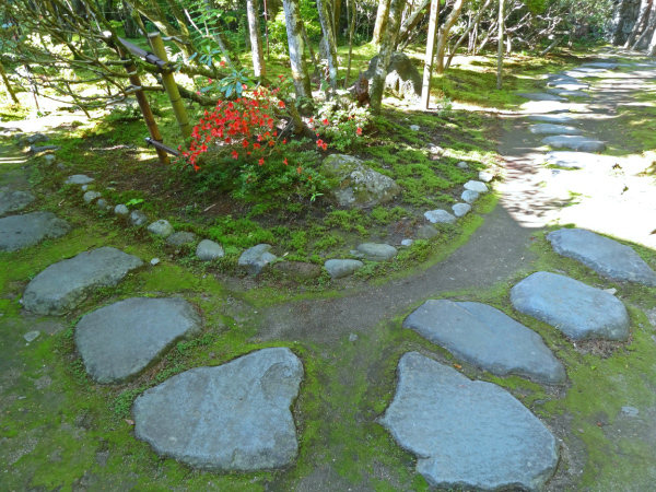 image0004