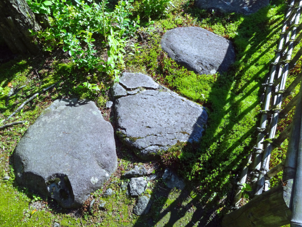 image0005