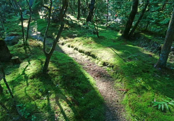 image0006