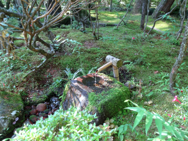 image0007