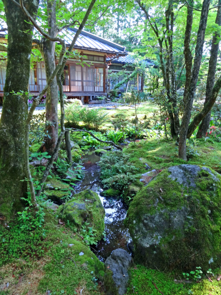 image0009