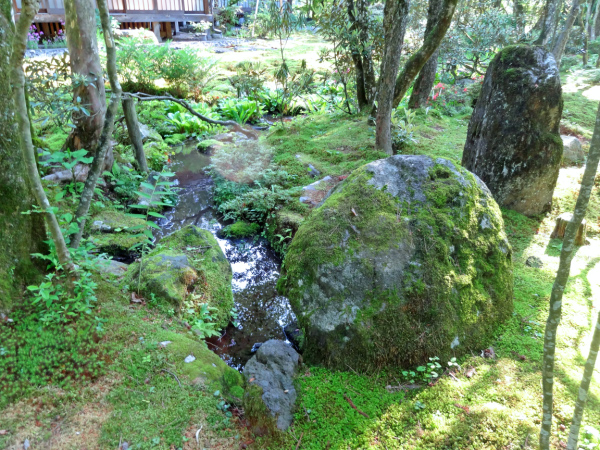 image0010