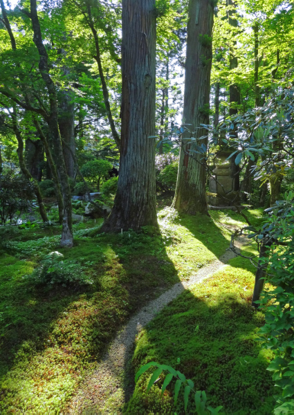 image0012
