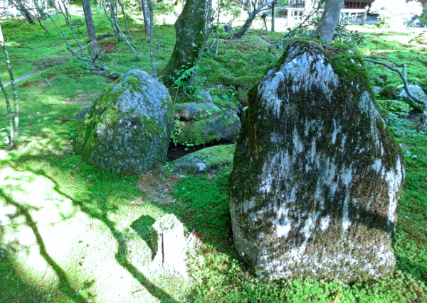 image0013