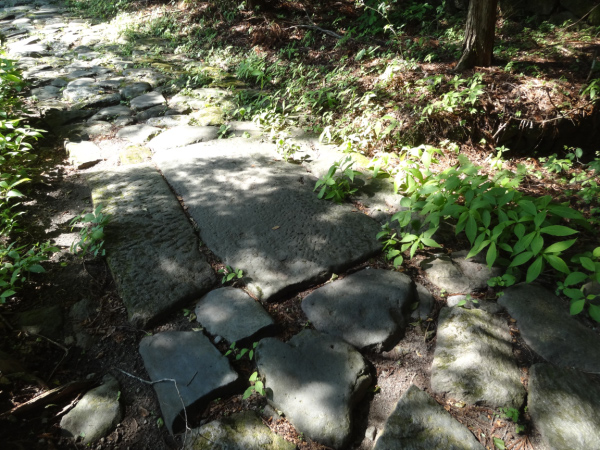 image0015