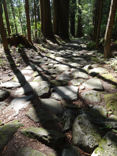image0017