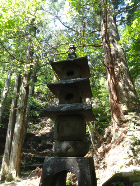 image0033