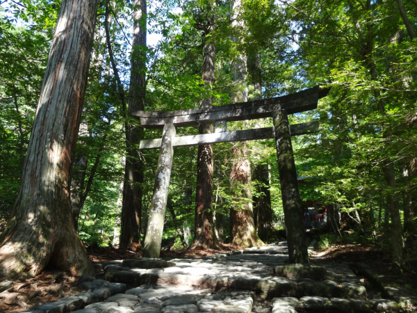 image0035