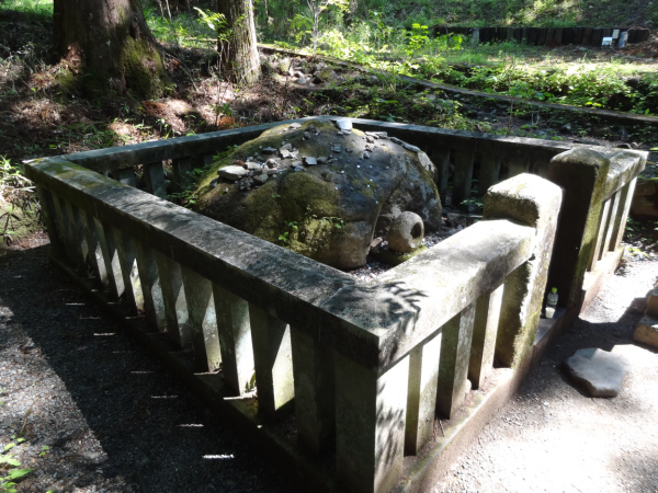image0047