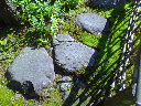 image0005