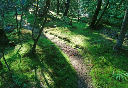 image0006