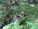 image0007