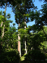 image0011