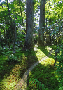 image0012