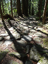 image0017