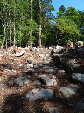 image0019