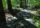 image0024