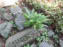 image0025