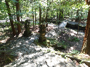 image0031