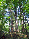 image0040