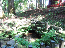 image0043