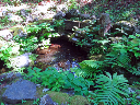 image0045