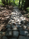 image0048