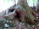 image0053