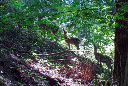image0057