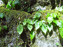 image0061