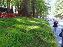 image0069