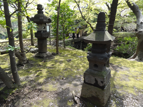 image0009