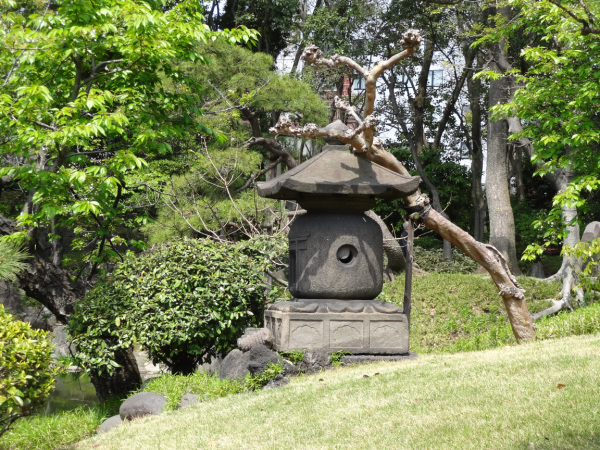 image0025