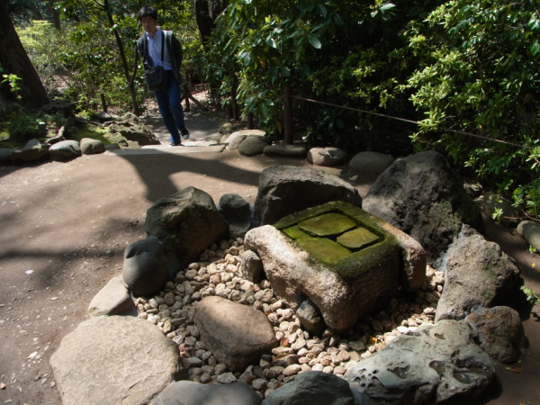 image0071