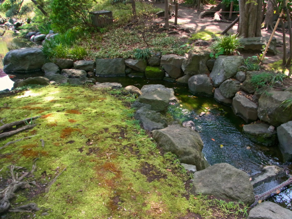image0077