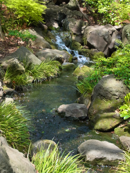 image0080
