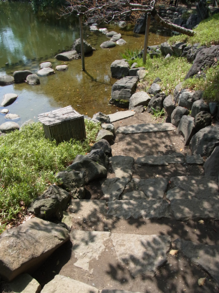 image0082
