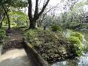 image0007