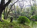 image0008