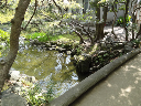 image0012