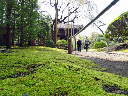 image0017