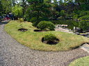 image0020